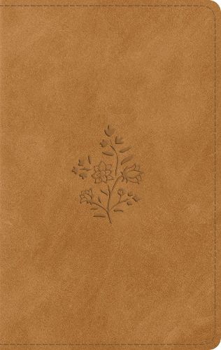 Cover image for ESV Large Print Personal Size Bible, Red Letter, Thumb Indexed
