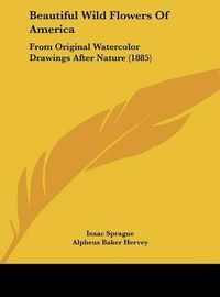 Cover image for Beautiful Wild Flowers of America: From Original Watercolor Drawings After Nature (1885)