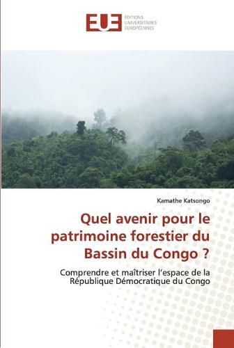 Quel avenir pour le patrimoine forestier du Bassin du Congo ?