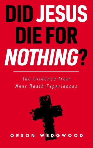 Cover image for Did Jesus Die For nothing?