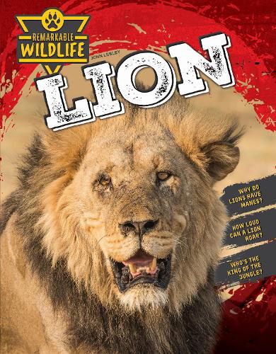 Cover image for Lion