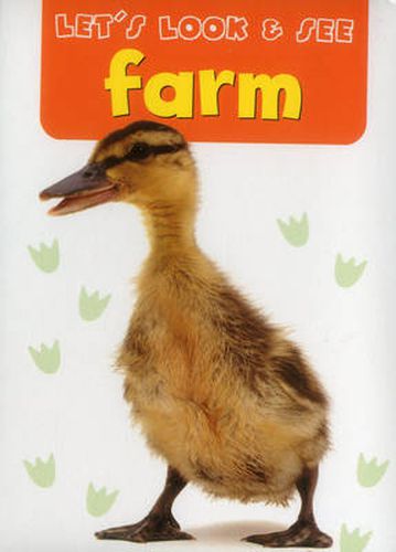 Cover image for Let's Look & See: Farm