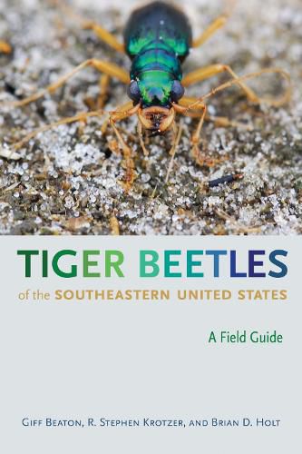 Cover image for Tiger Beetles of the Southeastern United States: A Field Guide