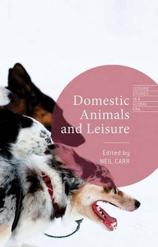 Cover image for Domestic Animals and Leisure