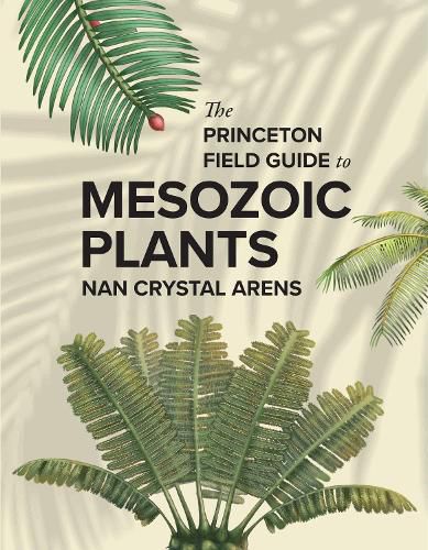 Cover image for The Princeton Field Guide to Mesozoic Plants