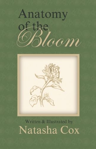 Cover image for Anatomy of the Bloom