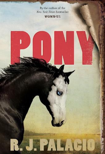 Cover image for Pony