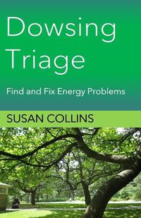 Cover image for Dowsing Triage