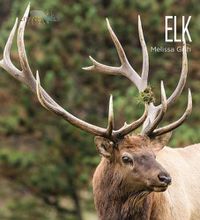 Cover image for Elk