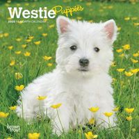 Cover image for West Highland White Terrier Puppies 2020 Mini Wall Calendar