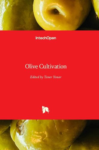 Cover image for Olive Cultivation