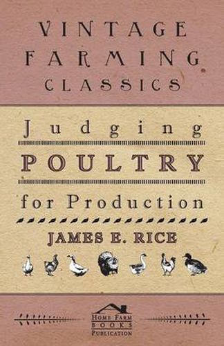 Judging Poultry for Production