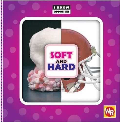 Cover image for Soft and Hard