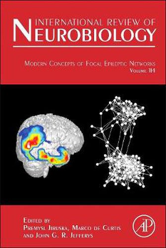 Cover image for Modern Concepts of Focal Epileptic Networks