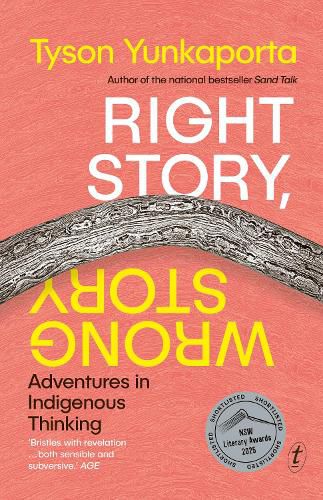 Cover image for Right Story, Wrong Story