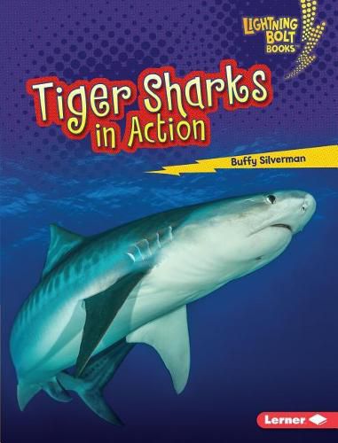 Cover image for Tiger Sharks in Action