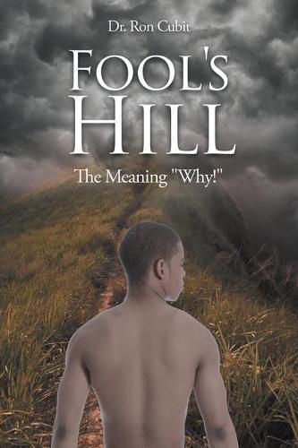 Cover image for Fool's Hill: The Meaning Why!