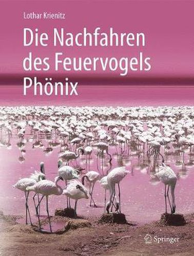 Die Nachfahren Des Feuervogels Phoenix