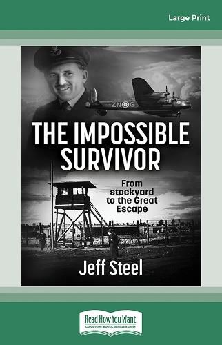 Cover image for The Impossible Survivor