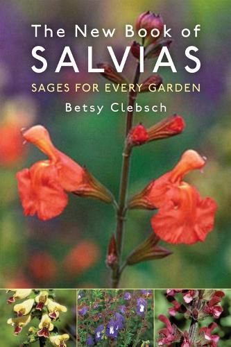 Cover image for New Book of Salvias