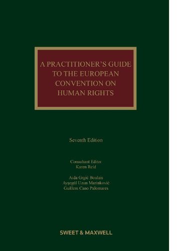 Cover image for A Practitioner's Guide to the European Convention on Human Rights