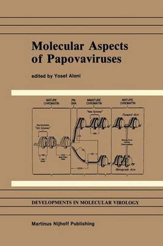 Cover image for Molecular Aspects of Papovaviruses