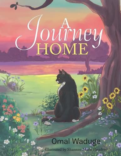 Cover image for A Journey Home