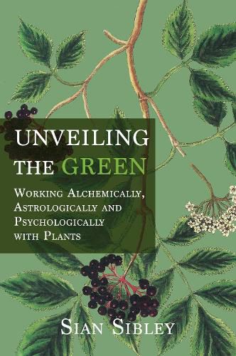 Cover image for Unveiling the Green