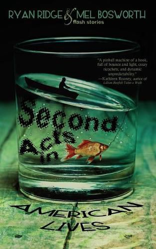 Cover image for Second Acts in American Lives