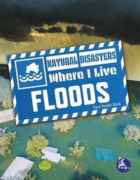 Cover image for Floods