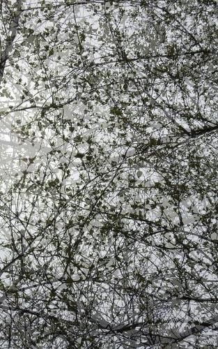 Cover image for Small Blank Journal 15