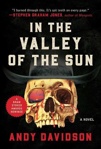Cover image for In the Valley of the Sun: A Novel