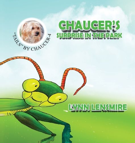 Cover image for Chaucer's Surprise in the Park