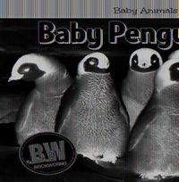 Cover image for Baby Penguins