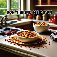 Cover image for Don't Bring Me Down