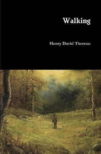 Cover image for Walking