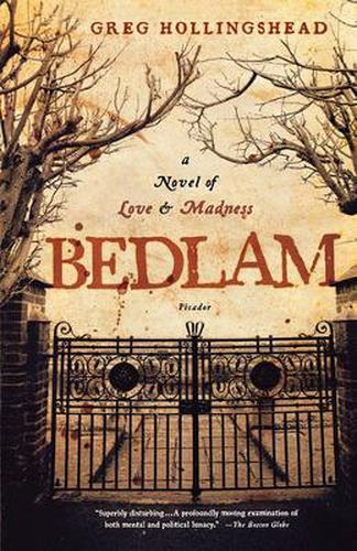 Cover image for Bedlam: A Novel of Love and Madness