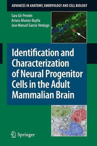 Identification and Characterization of Neural Progenitor Cells in the Adult Mammalian Brain