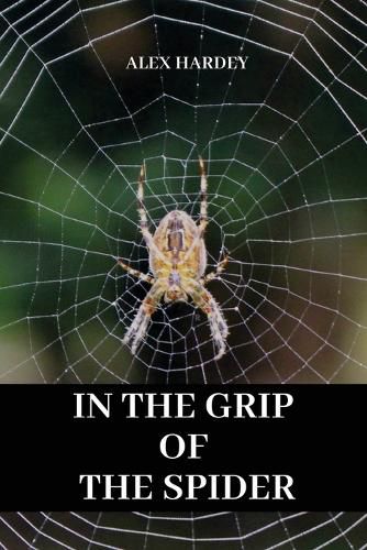 Cover image for In the grip of the spider
