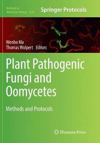 Cover image for Plant Pathogenic Fungi and Oomycetes: Methods and Protocols