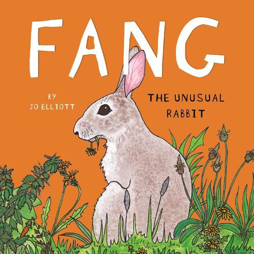 Cover image for Fang - The Unusual Rabbit