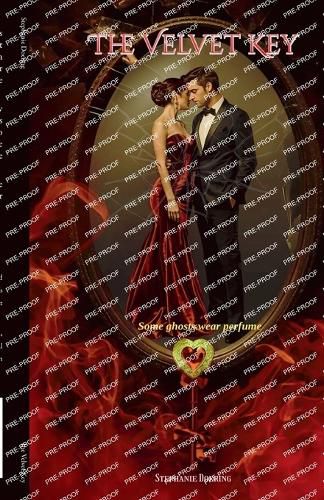 Cover image for The Velvet Key