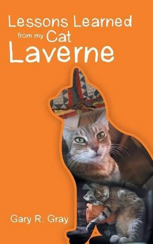 Cover image for Lessons Learned from My Cat Laverne