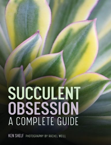 Cover image for Succulent Obsession: A Complete Guide