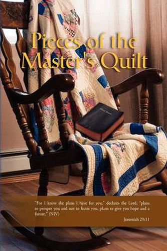 Cover image for Pieces of the Master's Quilt