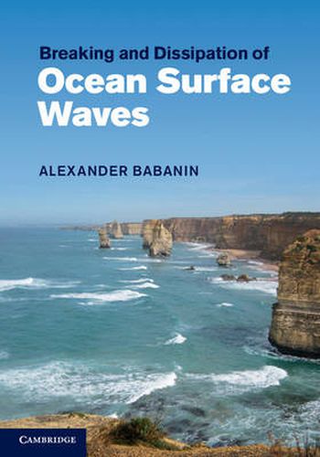 Cover image for Breaking and Dissipation of Ocean Surface Waves