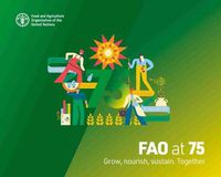 Cover image for FAO at 75: Grow, Nourish, Sustain. Together