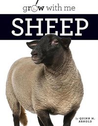 Cover image for Sheep