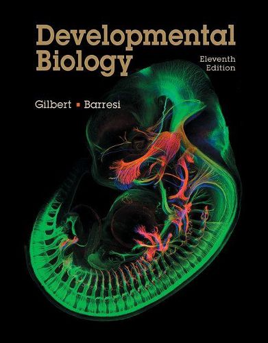 Cover image for Developmental Biology