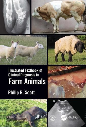 Cover image for Illustrated Textbook of Clinical Diagnosis in Farm Animals